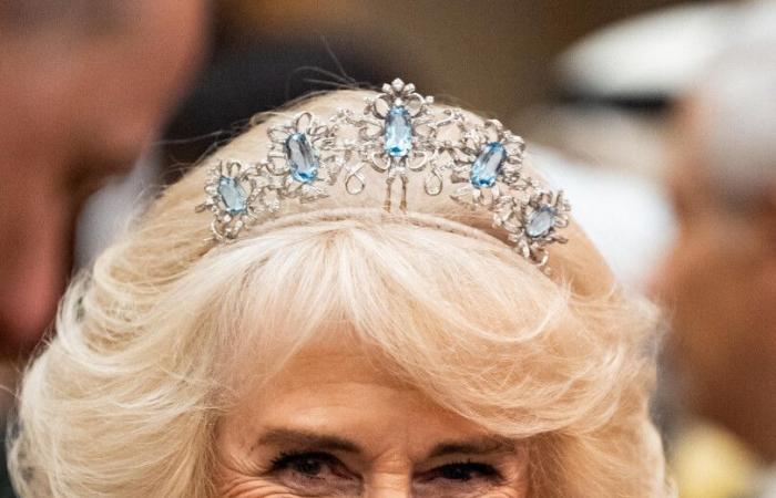 Queen Camilla, resplendent at the gala of the diplomatic corps with Charles III and Prince William