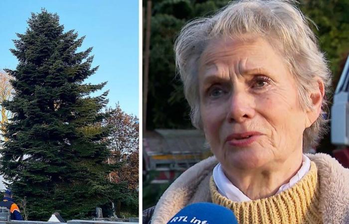 “An honor and a pride”: with tears in her eyes, Anita offered her majestic tree to the Grand-Place