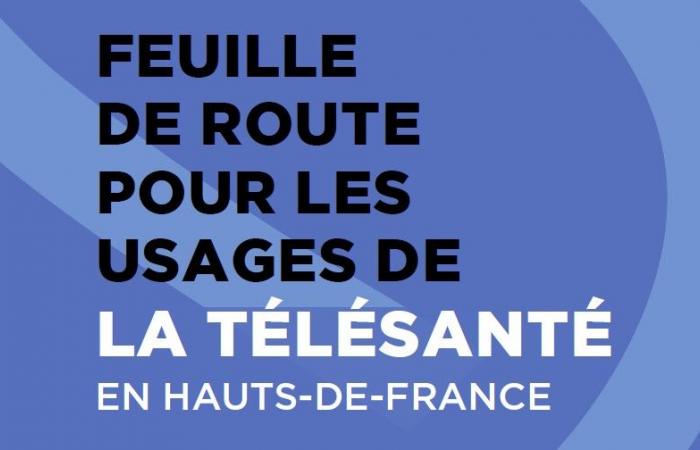 ARS Hauts-de-France publishes a Roadmap for the uses of telehealth in Hauts-de-France