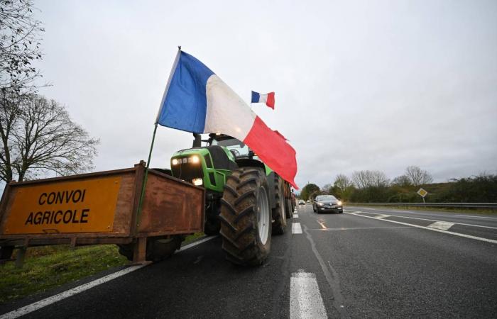 LIVE – At least six dams are planned in the department… Experience the mobilization of angry farmers in Nièvre