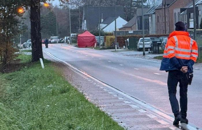 Drunk driver commits hit and run after fatal collision: cyclist (56) from Kortessem died (Diepenbeek)