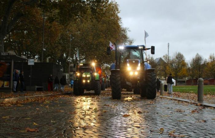 a peaceful demonstration of farmers