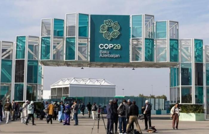 COP29 receives support from the G20 which encourages increased climate financing