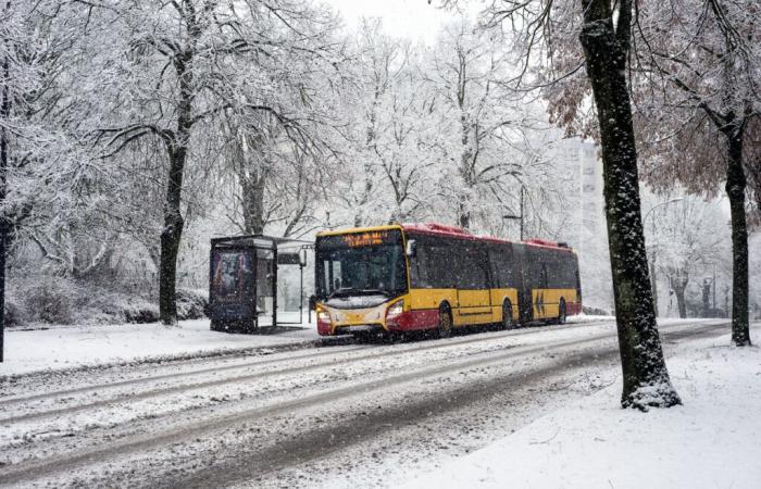 snow from Brittany to Alsace, up to 10 cm and dozens of vigilances this Thursday