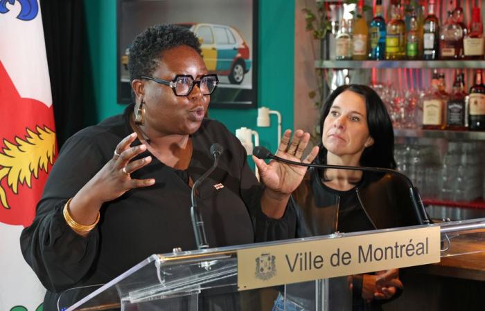 Budget of the City of Montreal | No increase in the budget of the Culture Department