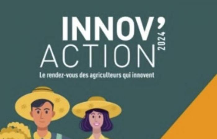 Innov'action: income and agricultural diversification in questions | Agriculture Massif central