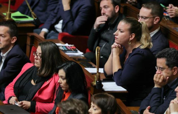 La France insoumise obtains the creation of a France-Palestine friendship group at the Assembly