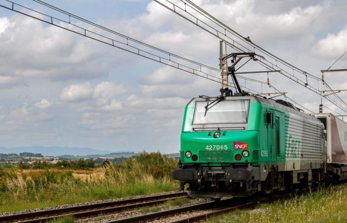 A 21-year-old young man died after being hit by a train on a level crossing