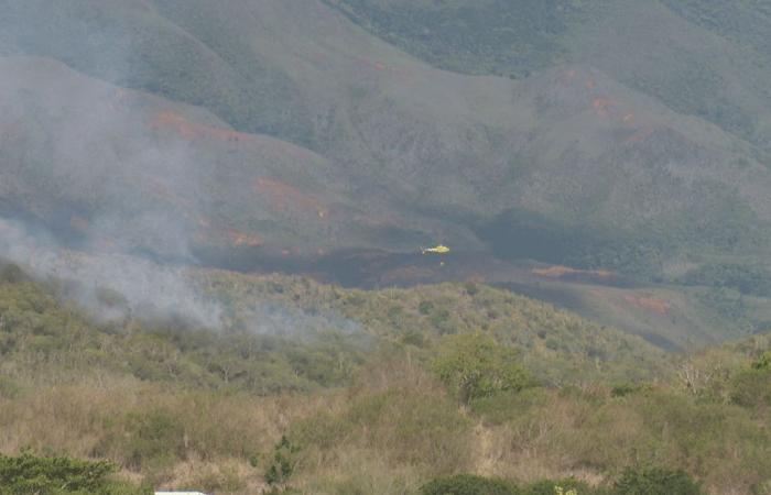 Fire in Dumbéa near Fayard Park, around fifteen hectares burned