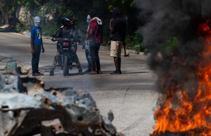 Doctors Without Borders suspends its activities in Port-au-Prince following police violence