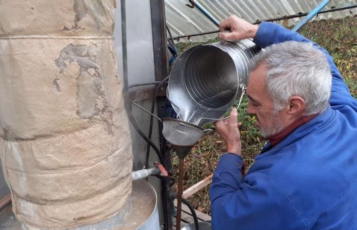 100 candles for the still of Lilian Fréchet, traveling distiller in western Aveyron