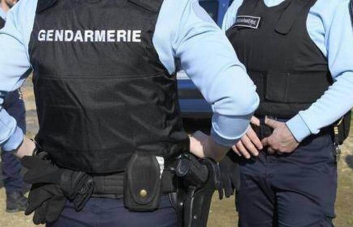 In Mayenne, they drove 56 km/h above the authorized speed