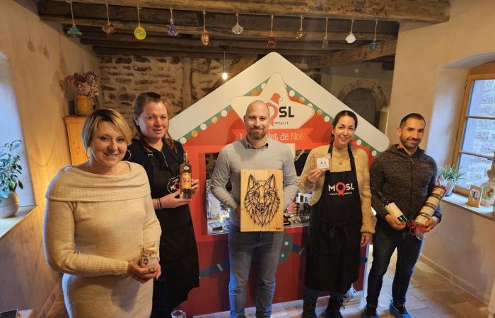 Lantern trail, Christmas markets and local products: Moselle Christmas is launched