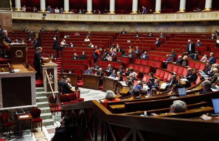 Pension reform: presented by La France insoumise, the text proposing its repeal was approved by the deputies in committee