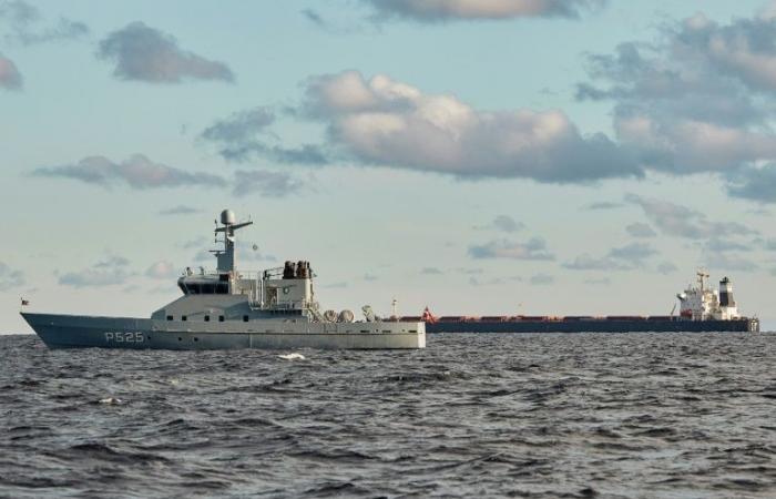 Chinese boat placed under Danish surveillance after cable break in Baltic Sea