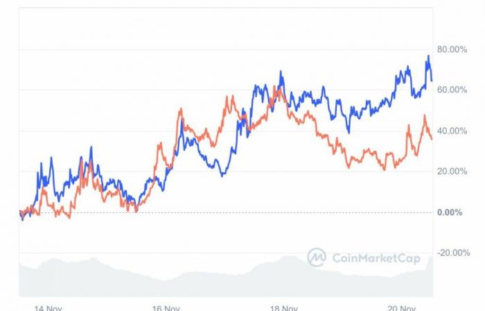 BTC, GOAT and BONK winners of the day!