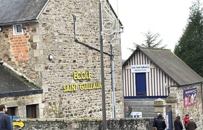 WEST-FRANCE INFO. Birds responsible for carbon monoxide poisoning in Saint-Alban