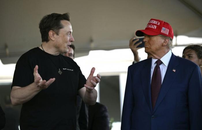 In the name of government efficiency, Elon Musk attacks teleworking of American civil servants