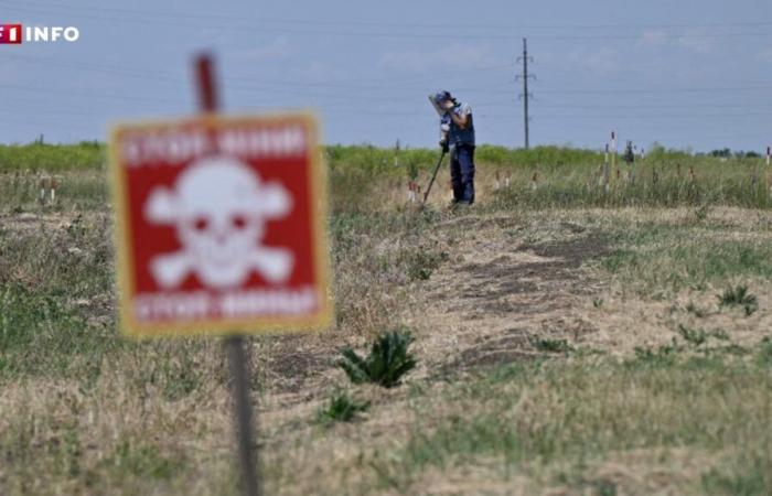 War in Ukraine: antipersonnel mines supplied to kyiv, a controversial American decision