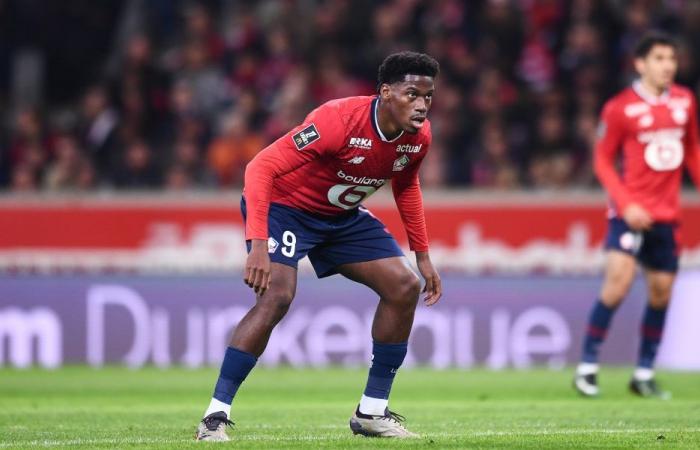 LOSC Mercato: Jonathan David does not want to leave this winter!