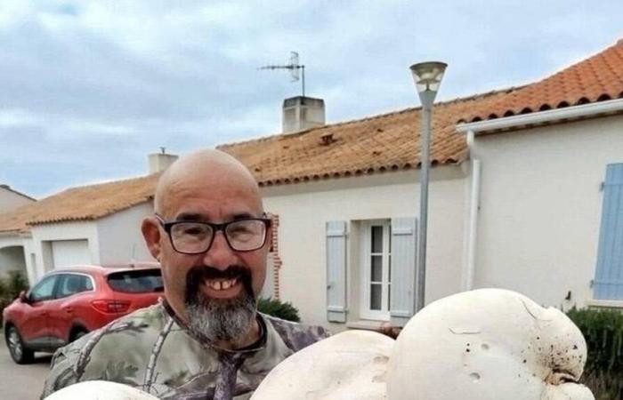 Giant mushrooms collected in Vendée