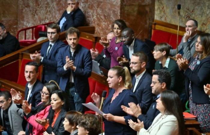 Pension reform: LFI returns to the Assembly to repeal the text: News