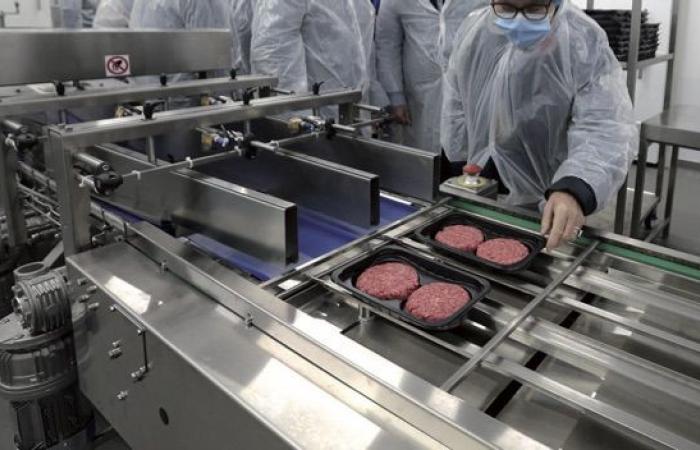 The Abdelmoulas invest in meat processing in Tétouan Park