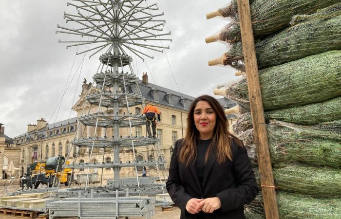 half-timbered chalets, 361 fir trees… The Dijon Christmas market reveals its contours