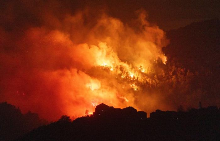 Around twenty hectares burned in a fire driven by violent winds in Pietra di Verde