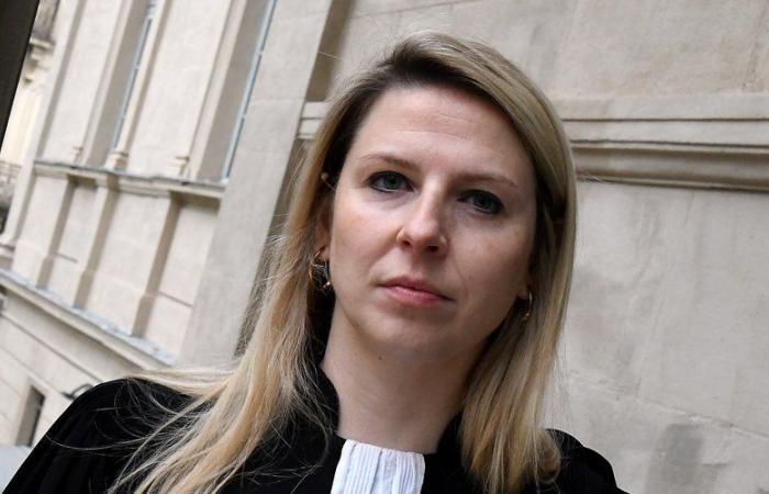 Aude Assizes: accused of rape and habitual violence against his partner in Carcassonne, he denies the facts in their entirety