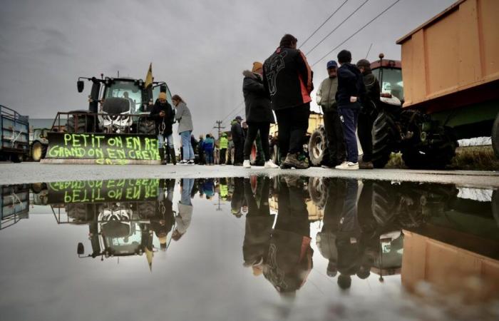 Anger of the farmers. In Gironde, the “yellow caps” besiege the Port of Bordeaux and a purchasing center