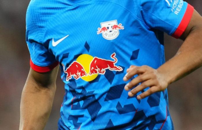 Paris FC – Is the arrival of Red Bull in Ligue 2 the entry of the wolf into the fold?