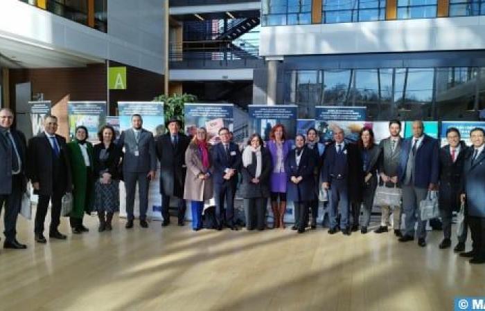 A large Moroccan judicial delegation on a study visit to the ECHR in Strasbourg