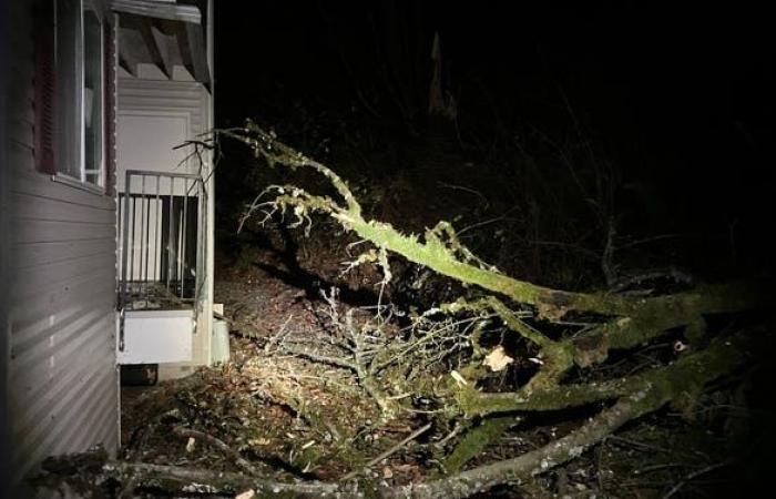 Deadly bomb cyclone slams Seattle area with fierce winds leaving over 600,000 without power