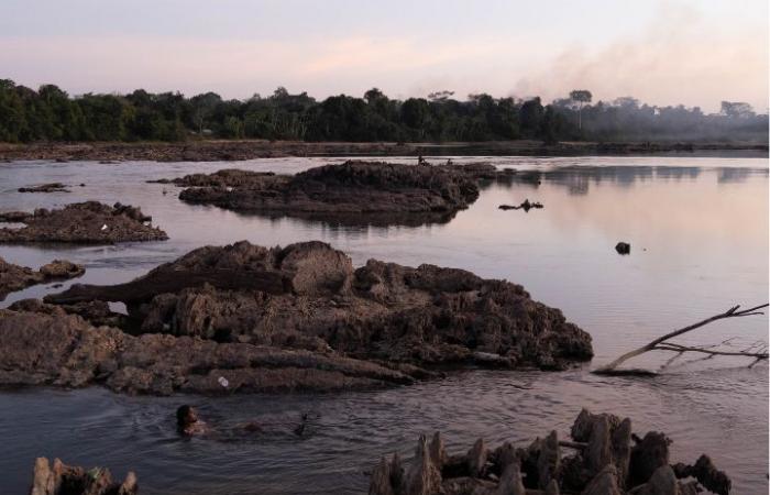 In the middle of the Amazon, a French town lacks water and food due to climate change