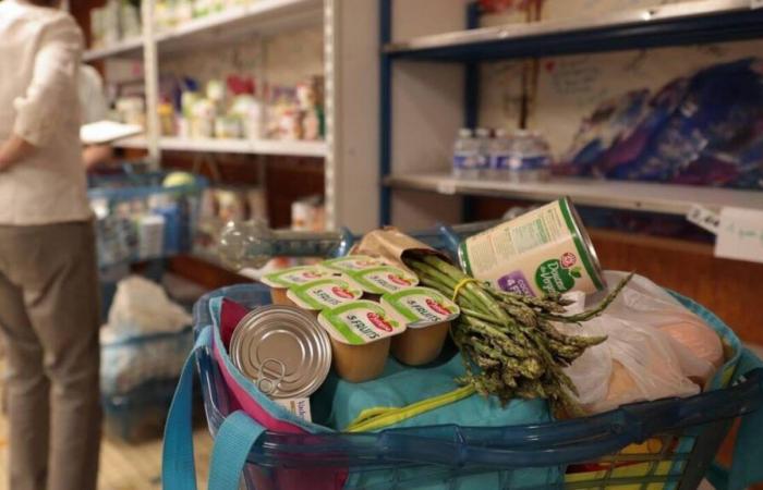 Food, hygiene products… A collection organized in stores in Mayenne