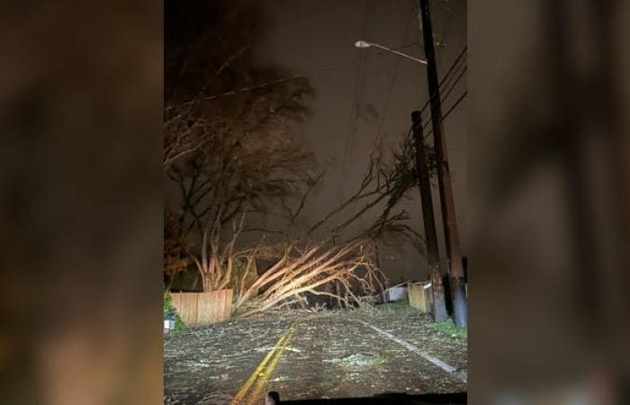 Deadly bomb cyclone slams Seattle area with fierce winds leaving over 600,000 without power