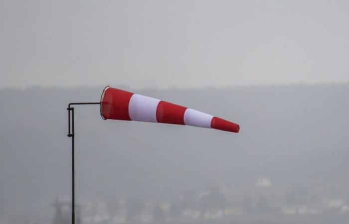 Violent winds: the department of Isère placed on orange alert by Météo France