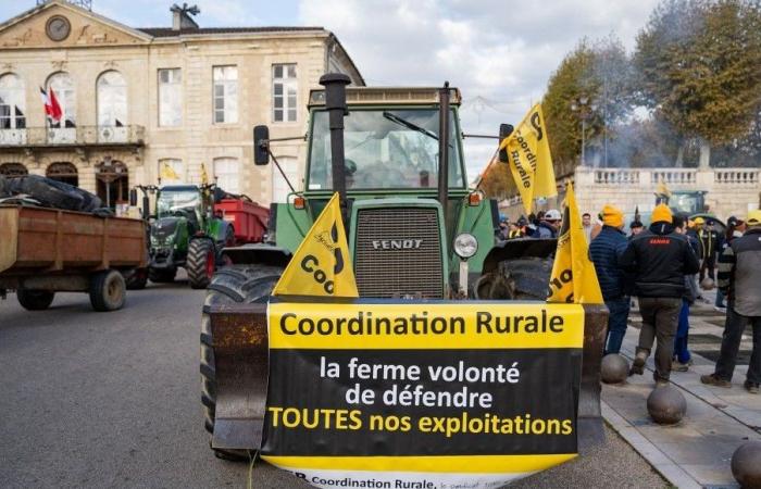 Third day of agricultural demonstration, with the elections in the chambers of agriculture as a backdrop