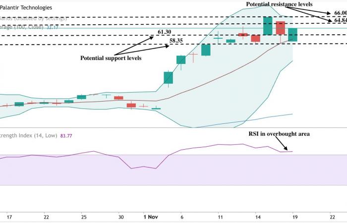 Palantir’s recent drop: Minor retracement or red flag?: By Prakash Bhudia