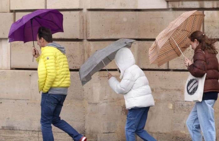 Weather alert: Vienne and Deux-Sèvres on orange alert for violent winds