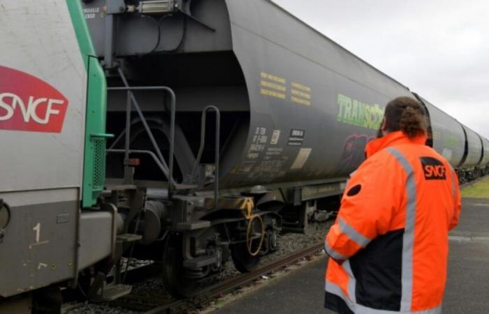 SNCF strike: the movement for SNCF Freight moderately followed throughout the group: News