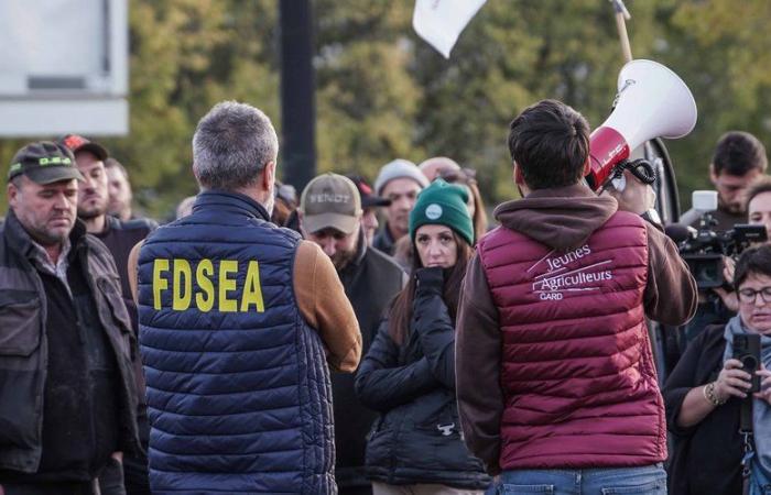 REPLAY. Anger of farmers: end of the blockage of the A9 to Spain, demonstrations next week… follow the day of mobilization