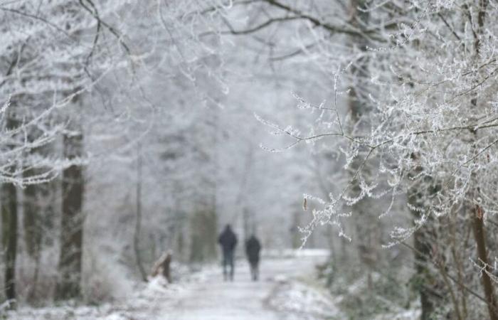 The new onset of winter is causing fresh snow in this area