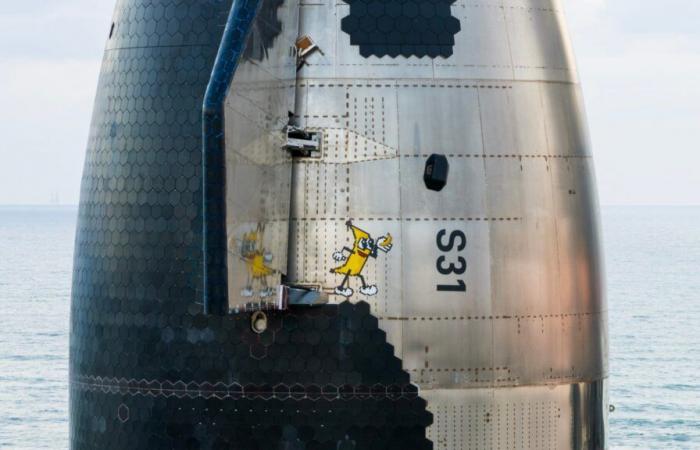 what was this banana doing in SpaceX's mega-rocket?