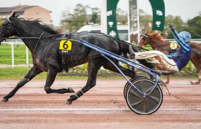 PMU – Arrival of the quinté on Wednesday November 20 in Toulouse: Iguski Sautonne confirms his great form