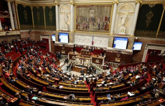 The National Assembly records the creation of a France-Palestine friendship group