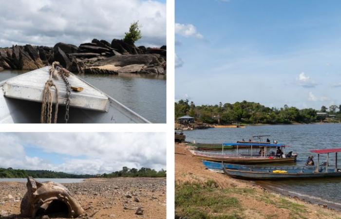 In the middle of the Amazon, a French town lacks water and food due to climate change