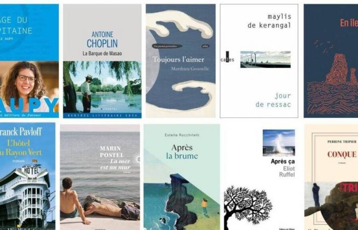 Ten novels selected for the 4th Trouville-Pavillon Augustine book prize