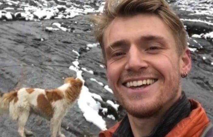 Lost at 4,500 m altitude, this hiker finds his way thanks to a stray dog ​​in Peru